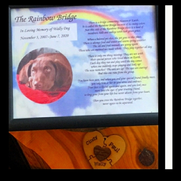 Vintage MAGIC TRICK PUZZLE GAME - Picture 3 of 7